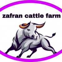 Zafran Cattle Farm